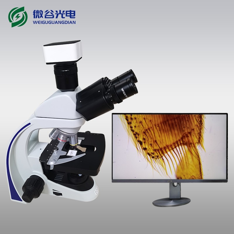 如何用生物顯微鏡檢測(cè)益生